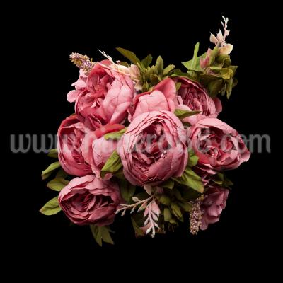Букет божури PASTEL 9СМ/6БР DARK ASH ROSE