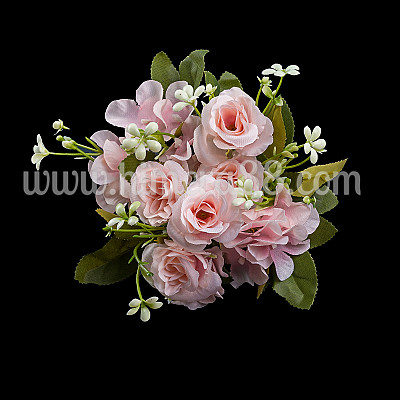 Бенгалска роза 4.5см/6БР LIGHT PINK