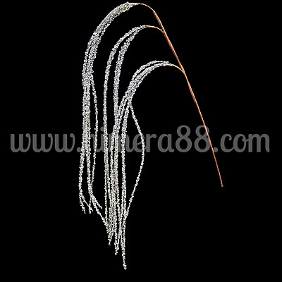 Блестящ амарант SILVER