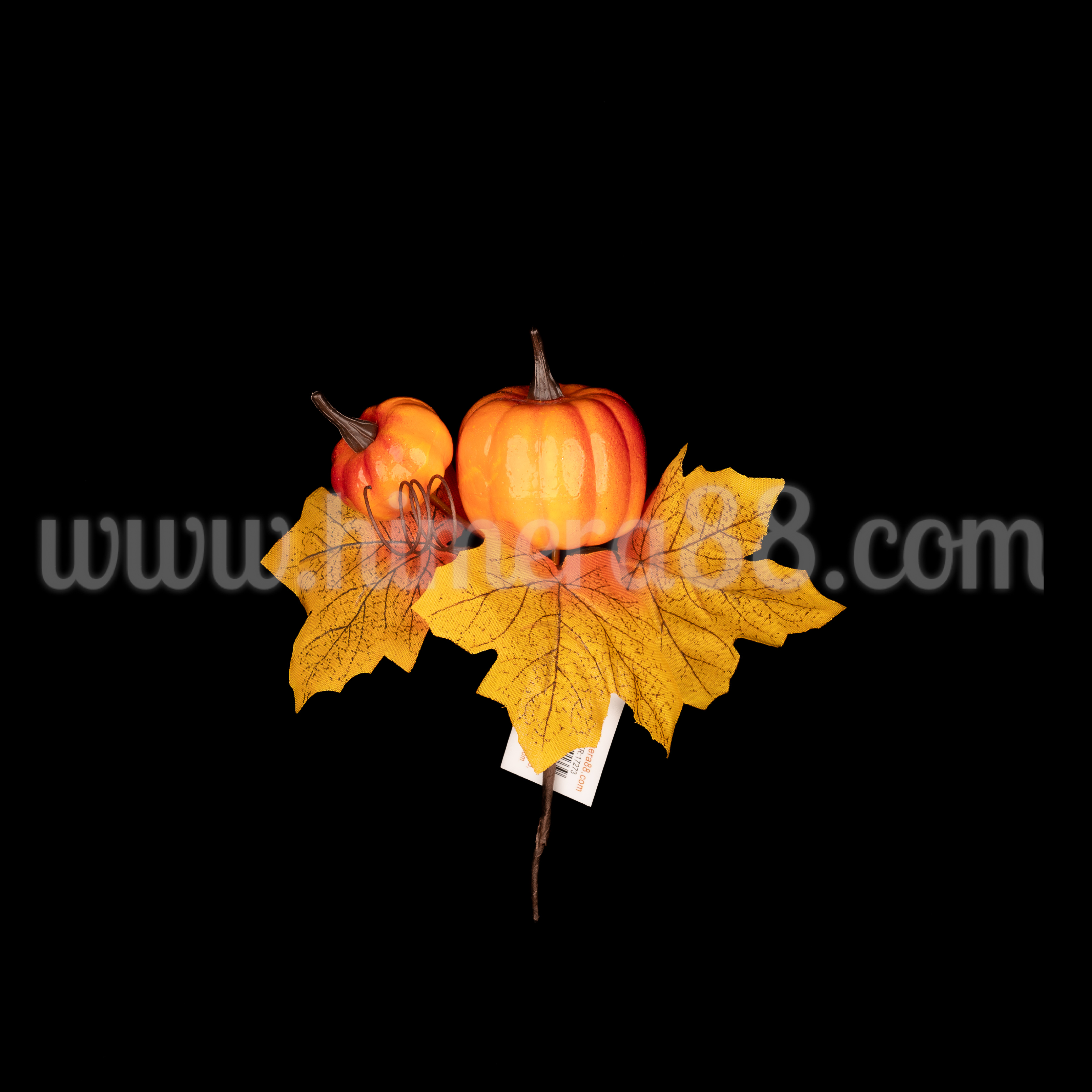 Есенен клон Vitaceae 15cm - изглед 1