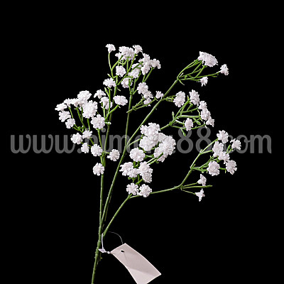 Стрък гипсофил White