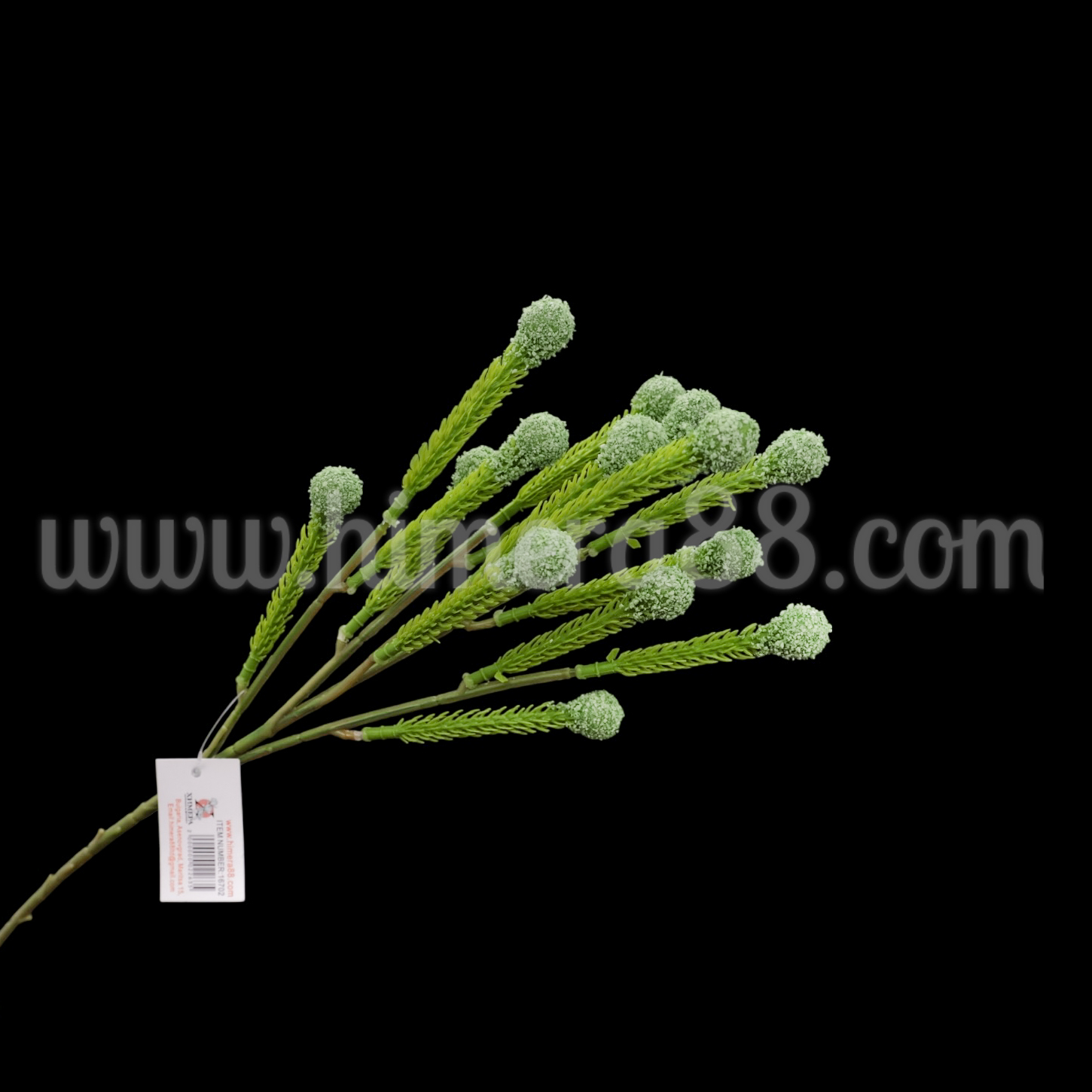 Клон едра бруния Green - изглед 1