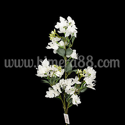 Клон цвят Рододендрон 90cm White