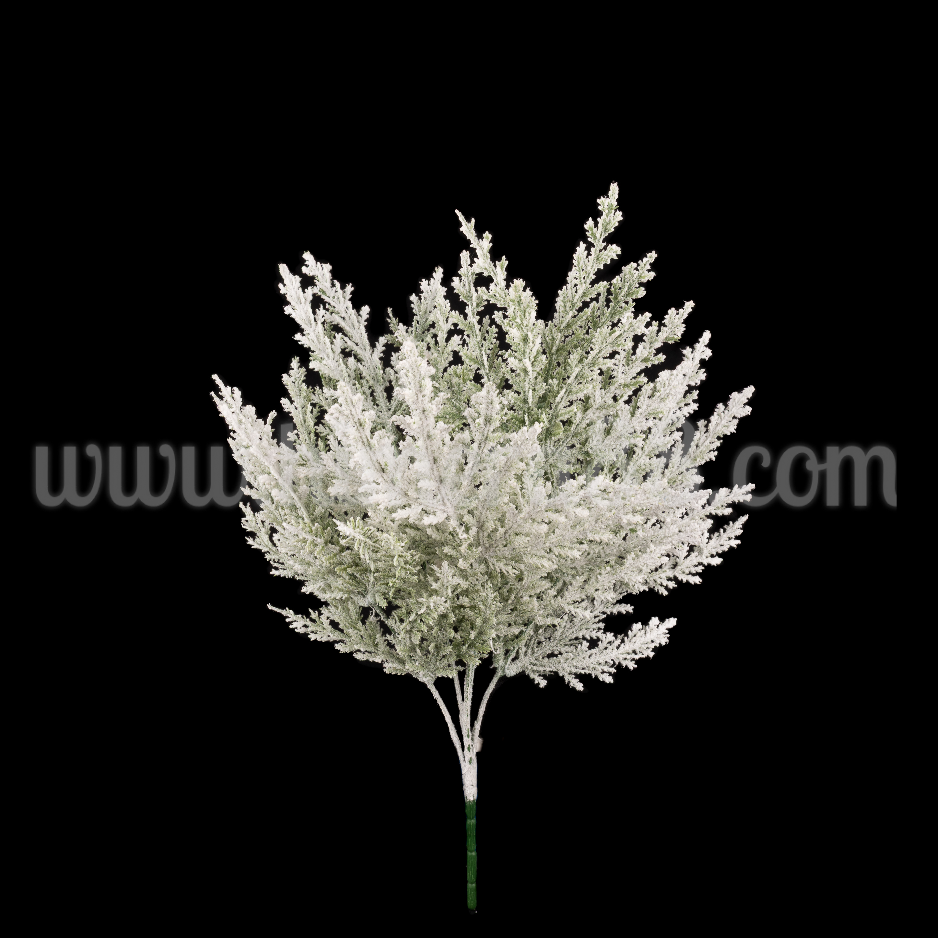 Заснежен Смарагд Dark Green - изглед 1