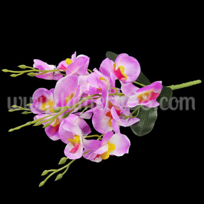 Букет орхидея PURPLE