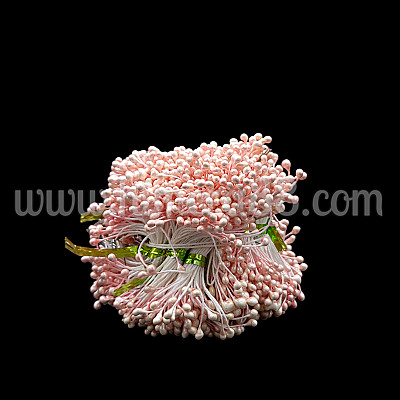 Тичинки на конец 100гр ROSE PEACH