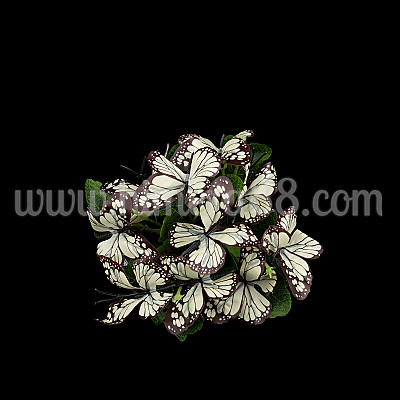 Букет Пеперуди 5 стръка White