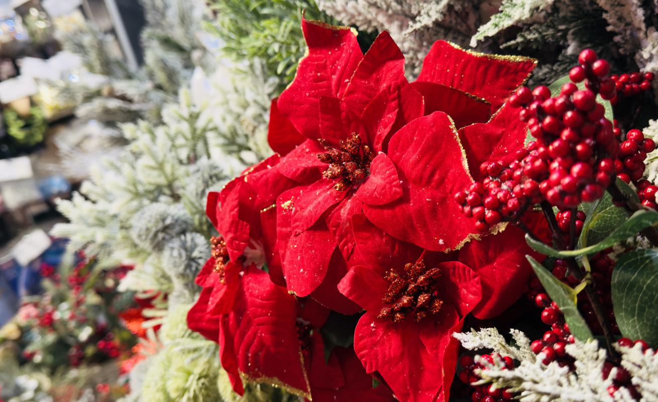 Накъде, без коледни звезди и елхови клонки?}